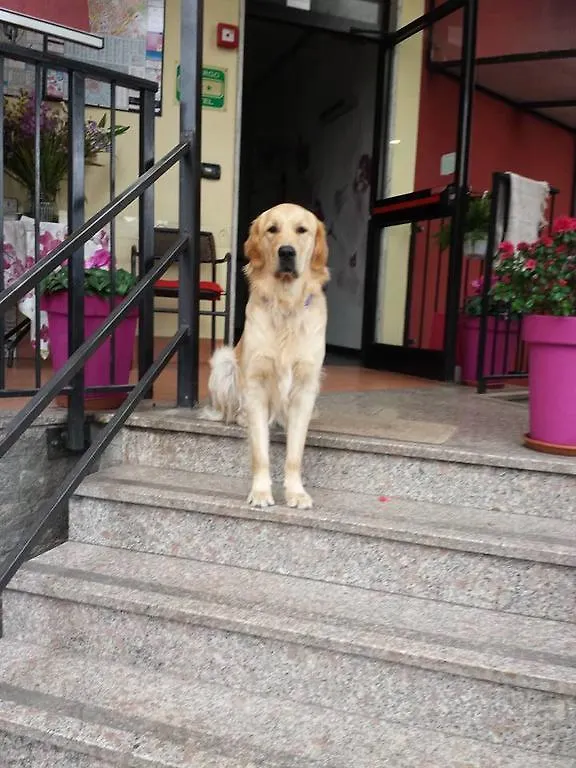 Hotel Renato Sesto San Giovanni Italia