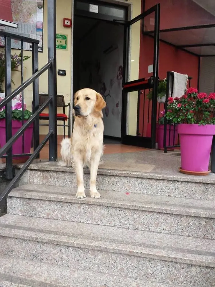 Hotel Renato Sesto San Giovanni