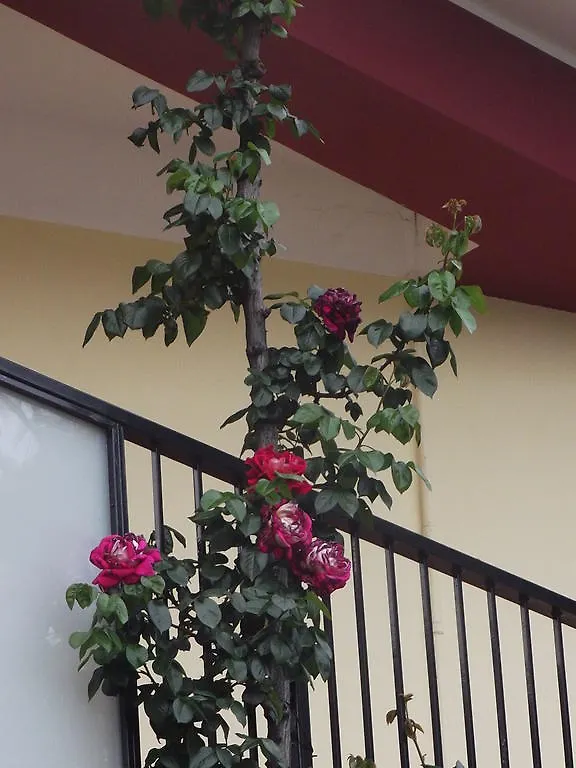Hotel Renato Italy